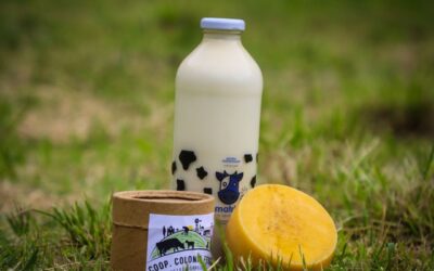 Matria: Leche agroecológica